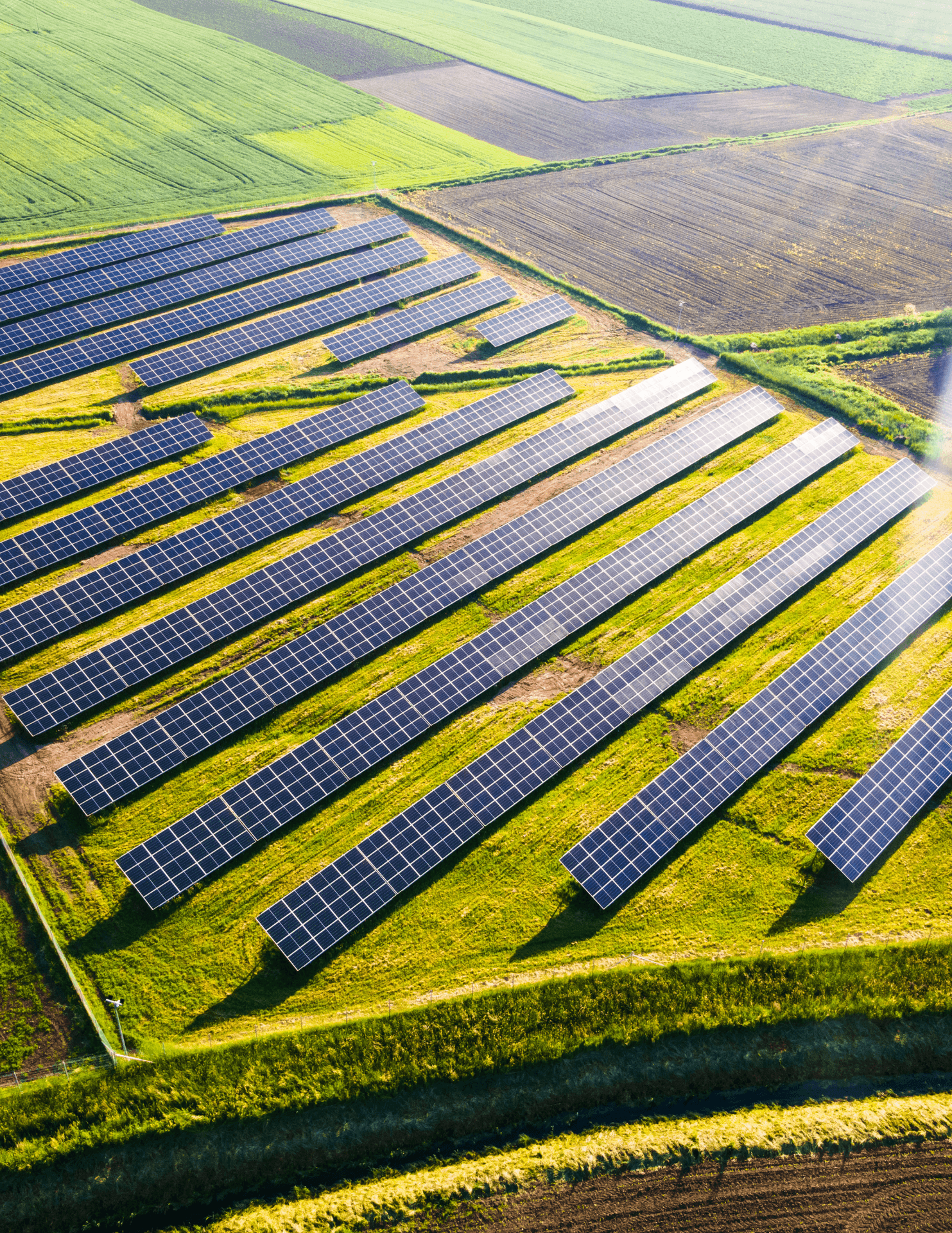 Solar Energy Farm in Fields. Aerial Drone View. Panels, Renewable Energy, Photovoltaic, Clean Electricity, Landscape