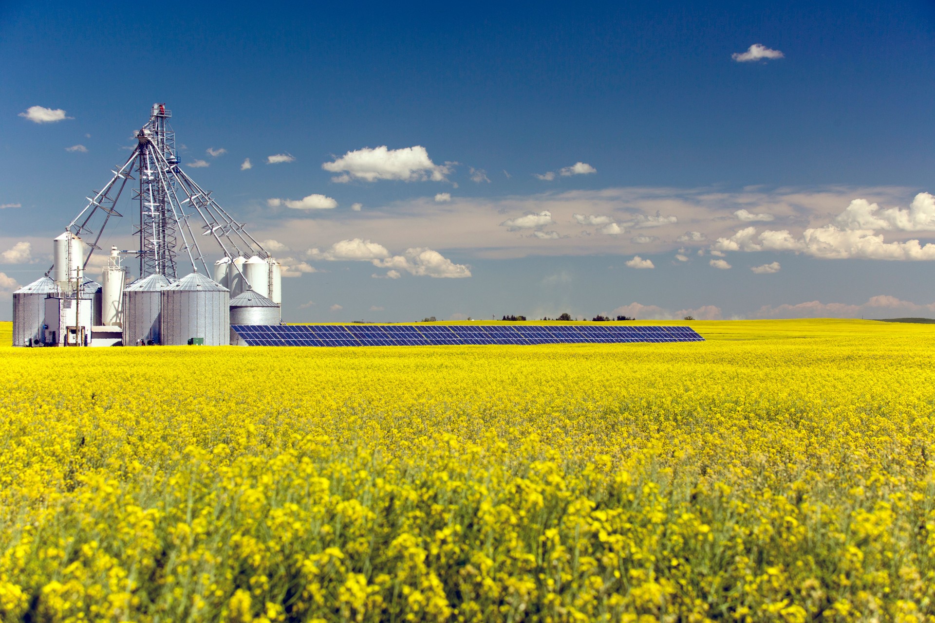 Canola Grain Silo Solar Panel