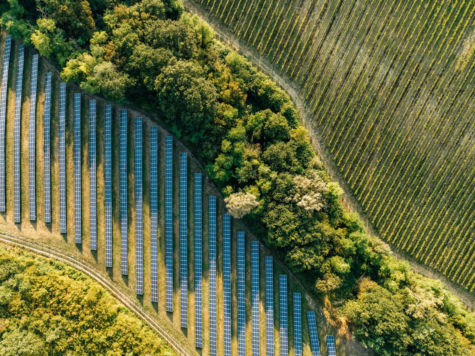 Aerial view of a solar farm in the countryside